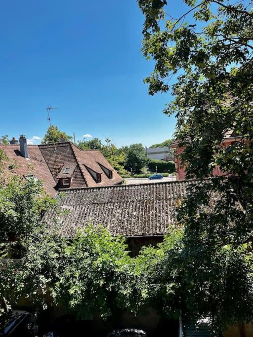 Appartement De Charme Alsacien, Centre Historique Selestat Exterior photo
